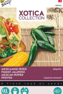 Intratuin Buzzy® Xotica Jalapeno (Capsicum annuum) Samen| Gemüsesamen|Saatgut