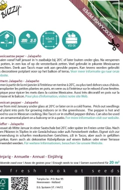 Intratuin Buzzy® Xotica Jalapeno (Capsicum annuum) Samen| Gemüsesamen|Saatgut