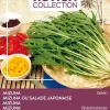 Intratuin Buzzy® Xotica Mizuna Japanischer Salat (Brassica junicea) Samen| Gemüsesamen|Saatgut
