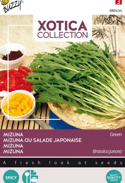 Intratuin Buzzy® Xotica Mizuna Japanischer Salat (Brassica junicea) Samen| Gemüsesamen|Saatgut