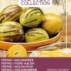 Intratuin Buzzy® Xotica Pepino / Melonenbirne (Solanum muricatum) Samen| Obstsamen|Saatgut