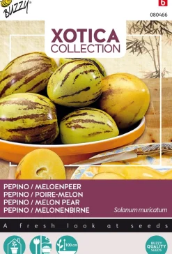 Intratuin Buzzy® Xotica Pepino / Melonenbirne (Solanum muricatum) Samen| Obstsamen|Saatgut