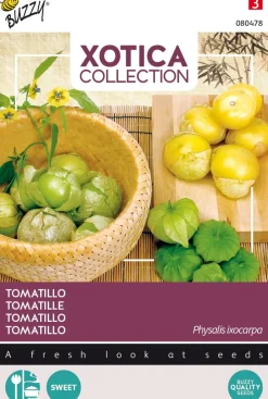 Intratuin Buzzy® Xotica Tomatillo (Physalis ixocarpa) Samen| Gemüsesamen|Saatgut