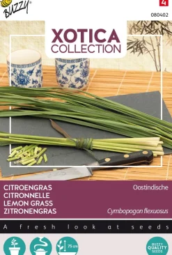 Intratuin Buzzy® Xotica Zitronengras (Cymbopogon flexuosus) Samen| Kräutersamen|Saatgut