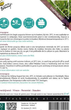 Intratuin Buzzy® Xotica Zitronengras (Cymbopogon flexuosus) Samen| Kräutersamen|Saatgut
