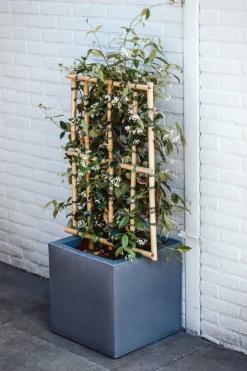 Intratuin Capi Europe Blumentopf Urban Smooth 40 x 40 x 40 cm grau| Blumentöpfe|Blumentöpfe & Pflanzgefäße