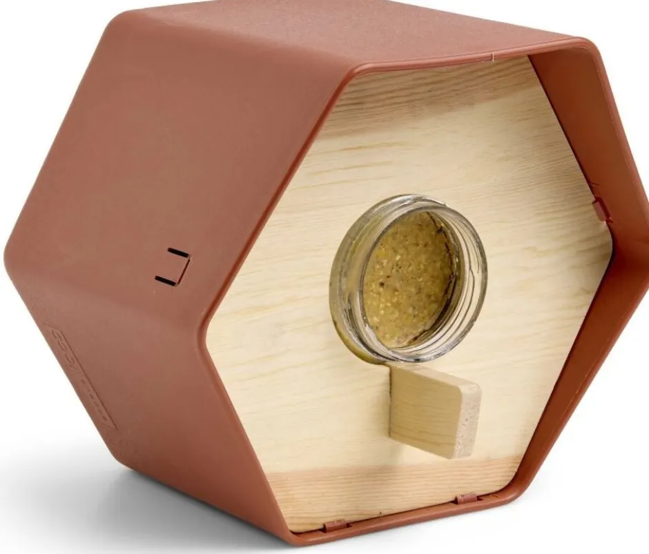 Intratuin Capi Europe Erdnussbutter-Glashalter Hive braun 19 x 22 x 20 cm| Gartenvögel|Erdnussbutter-Häuser