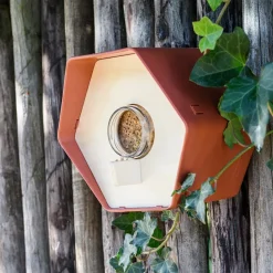 Intratuin Capi Europe Erdnussbutter-Glashalter Hive braun 19 x 22 x 20 cm| Gartenvögel|Erdnussbutter-Häuser