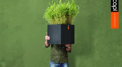 Intratuin Capi Lux Terrazzo Pflanzkübel quadratisch 40 x 40 x 40 cm schwarz| Blumentöpfe|Blumentöpfe & Pflanzgefäße