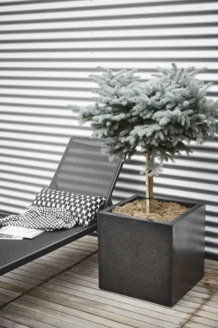 Intratuin Capi Lux Terrazzo Pflanzkübel quadratisch 20 x 20 x 20 cm schwarz| Blumentöpfe|Blumentöpfe & Pflanzgefäße