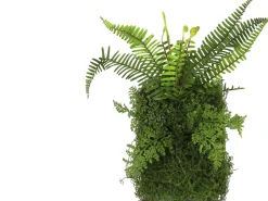 Intratuin Countryfield Kunstpflanze Farne auf Teller 9 x 22 x 40 cm| Kunstpflanzen