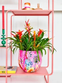 Intratuin Dijk Natural Collections Kerzenständer Cirkel grün D 9 H 28 cm| Kerzenständer