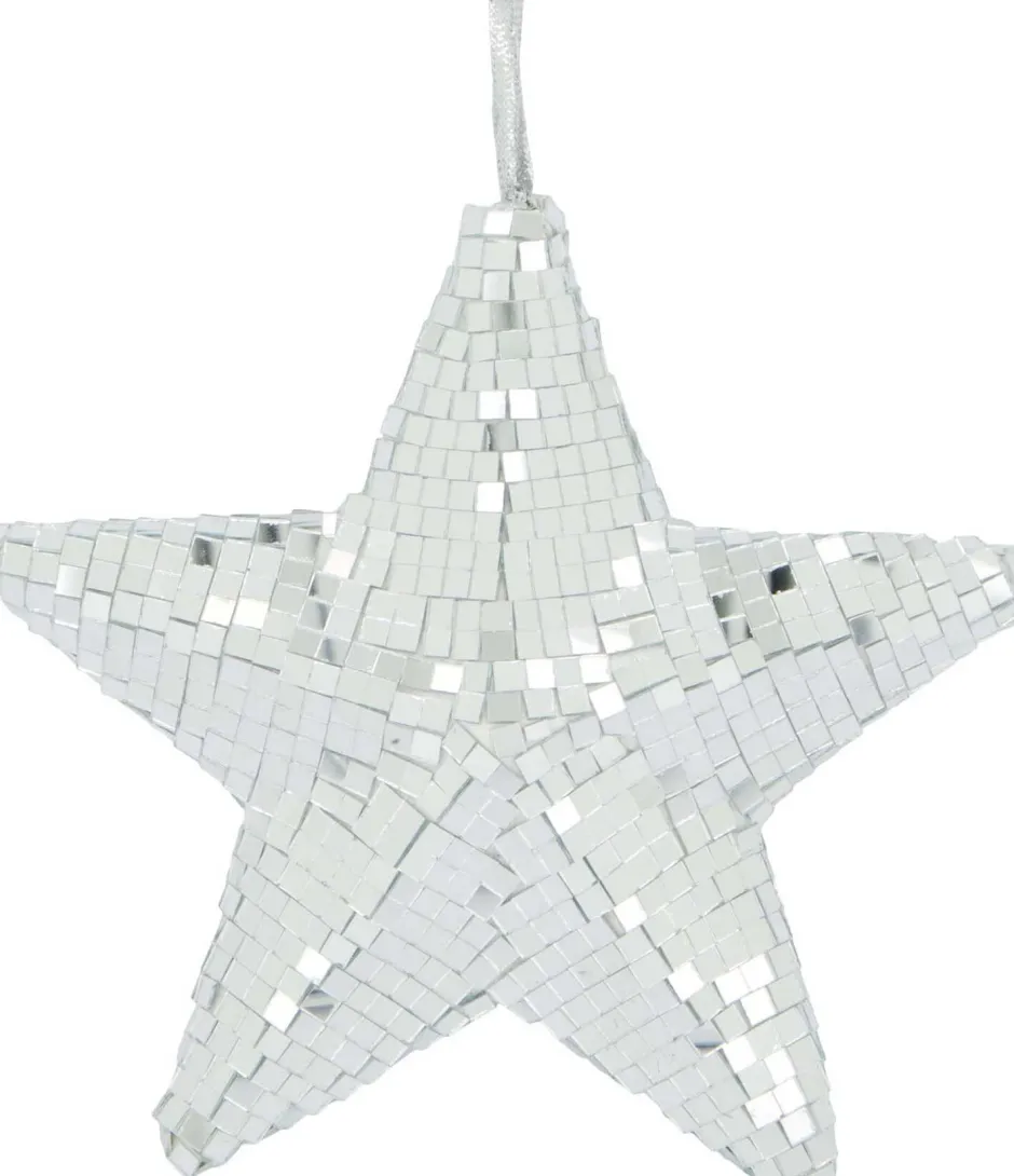 Intratuin Dijk Natural Collections Weihnachtsstern silber D 18 H 6 cm| Weihnachtssterne