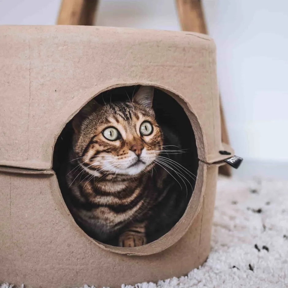Intratuin District 70 Katzenkorb Höhle D 44 H 30 cm| Katzenbetten & -Körbe