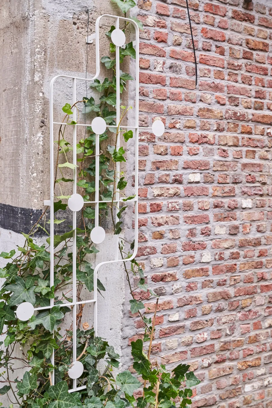 Intratuin D&M Deco Rankgitter Patio weiß 68 x 10 x 150 cm| Blumenständer