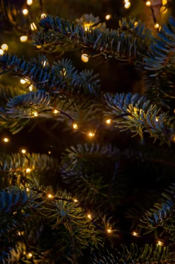 Intratuin Drahtlichterkette gold 24 m mit 800 LEDs| Mini- & Drahtlichterketten