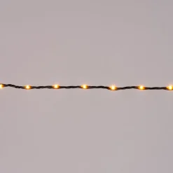 Intratuin Drahtlichterkette gold 3 m mit 100 LEDs| Mini- & Drahtlichterketten