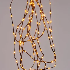 Intratuin Drahtlichterkette gold 3 m mit 100 LEDs| Mini- & Drahtlichterketten