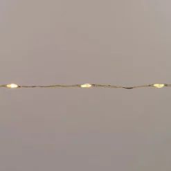 Intratuin Drahtlichterkette gold 2 m mit 40 LEDs warmweiß| Mini- & Drahtlichterketten