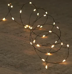 Intratuin Drahtlichterkette schwarz 2 m mit 40 LEDs warmweiß| Mini- & Drahtlichterketten