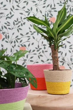 Intratuin Duif Pflanzkorb Riley naturell / gelb D 15,5 H 13 cm| Pflanzkörbe|Pflanzkörbe