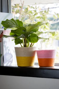 Intratuin Duif Pflanzkorb Riley naturell / gelb D 14 H 11 cm| Pflanzkörbe|Pflanzkörbe