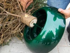 Intratuin EasyFix Weihnachtsbaumständer rot D 39 cm| Weihnachtsbaumständer