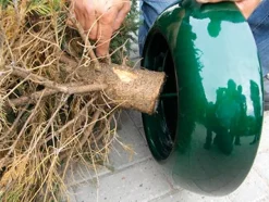 Intratuin EasyFix Weihnachtsbaumständer rot D 39 cm| Weihnachtsbaumständer