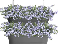 Intratuin Elho Balkonkasten Corsica anthrazit 51 x 17 x 23 cm| Balkonkästen|Blumentöpfe & Pflanzgefäße