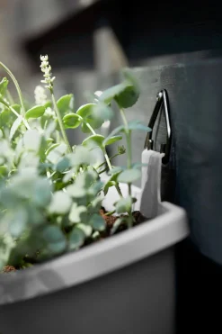 Intratuin Elho Balkonkasten Corsica anthrazit 51 x 17 x 23 cm| Balkonkästen|Blumentöpfe & Pflanzgefäße