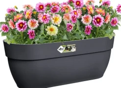 Intratuin Elho Balkonkasten Vibia Easyhanger anthrazit 46 x 24,1 x 26,5 cm| Balkonkästen|Blumentöpfe & Pflanzgefäße