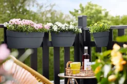 Intratuin Elho Balkonkasten Vibia Easyhanger anthrazit 46 x 24,1 x 26,5 cm| Balkonkästen|Blumentöpfe & Pflanzgefäße