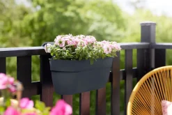 Intratuin Elho Balkonkasten Vibia Easyhanger anthrazit 46 x 24,1 x 26,5 cm| Balkonkästen|Blumentöpfe & Pflanzgefäße