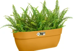 Intratuin Elho Balkonkasten Vibia Easyhanger gelb 46 x 24,1 x 26,5 cm| Balkonkästen|Blumentöpfe & Pflanzgefäße