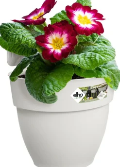Intratuin Elho Balkonkasten Vibia Easyhanger weiß 20,5 x 24,1 x 26,5 cm| Blumenampeln & Hängetöpfe|Blumentöpfe & Pflanzgefäße