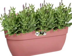 Intratuin Elho Balkonkasten Vibia Easyhanger rosa 46 x 24,1 x 26,5 cm| Balkonkästen|Blumentöpfe & Pflanzgefäße