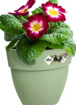 Intratuin Elho Balkonkasten Vibia Easyhanger grün 20,5 x 24,1 x 26,5 cm| Blumenampeln & Hängetöpfe|Blumentöpfe & Pflanzgefäße