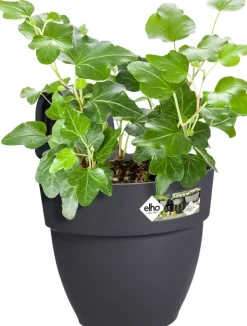 Intratuin Elho Balkonkasten Vibia Easyhanger anthrazit 20,5 x 24,1 x 26,5 cm| Blumenampeln & Hängetöpfe|Blumentöpfe & Pflanzgefäße