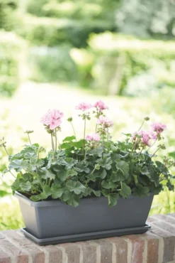 Intratuin Elho Barcelona Balkonkasten 90 cm anthrazit| Balkonkästen|Blumentöpfe & Pflanzgefäße