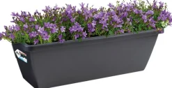 Intratuin Elho Barcelona Balkonkasten 70 cm anthrazit| Balkonkästen|Blumentöpfe & Pflanzgefäße