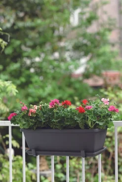 Intratuin Elho Barcelona Balkonkasten 70 cm anthrazit| Balkonkästen|Blumentöpfe & Pflanzgefäße