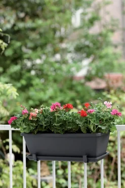 Intratuin Elho Barcelona Balkonkasten 70 cm anthrazit| Balkonkästen|Blumentöpfe & Pflanzgefäße