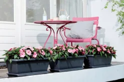 Intratuin Elho Barcelona XL Blumenkasten Untersetzer 54 cm anthrazit| Untersetzer