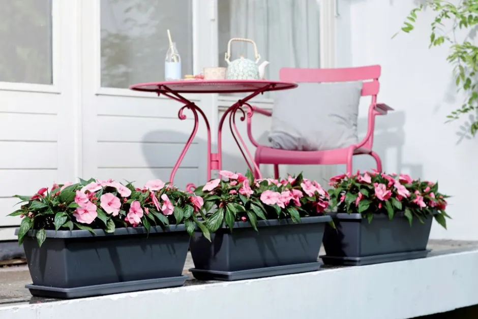 Intratuin Elho Barcelona XL Blumenkasten 60 cm anthrazit| Pflanzkübel|Blumentöpfe & Pflanzgefäße