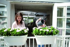 Intratuin Elho Corsica Balkonkasten 58 x 29,6 x 24 cm anthrazit| Balkonkästen|Blumentöpfe & Pflanzgefäße