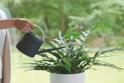 Intratuin Elho Gießkanne B for soft 1,7 l anthrazit| Gießen & Bewässerung|Gießkannen