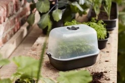 Intratuin Elho green basics Anzuchtkasten Deckel 24 x 12 x 17 cm| Anzuchtkästen & Mini-Gewächshäuser