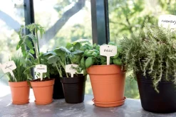 Intratuin Elho green basics Anzuchttopf D 21 cm schwarz| Anzuchttöpfe