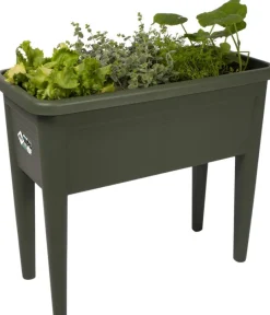 Intratuin Elho green basics Anzuchtkasten XXL grün 75,5 x 36,5 x 65,1 cm| Anzuchtkästen & Mini-Gewächshäuser