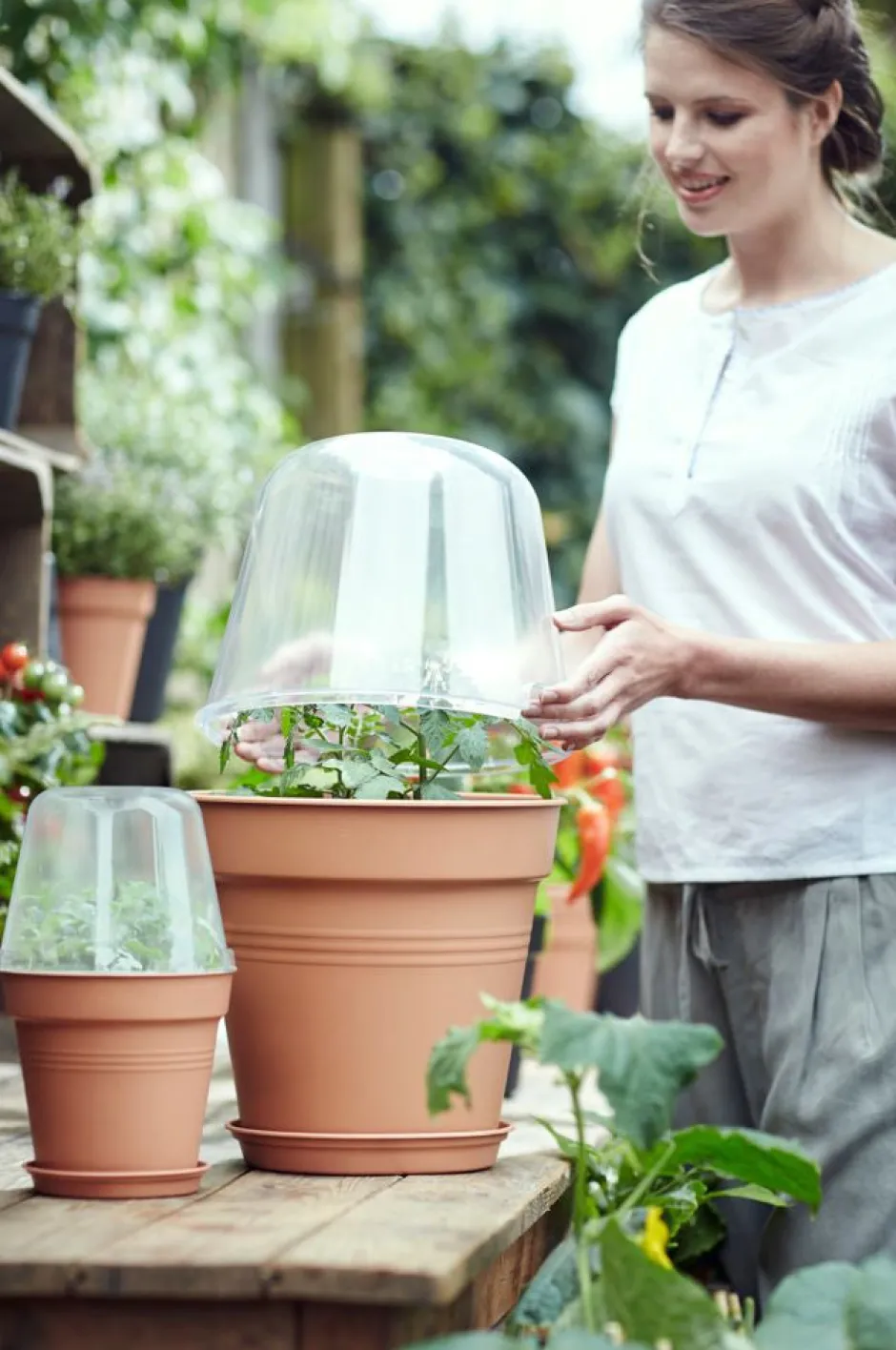 Intratuin Elho green basics Anzuchtkasten Deckel D 30 cm H 23,1 cm| Anzuchtkästen & Mini-Gewächshäuser